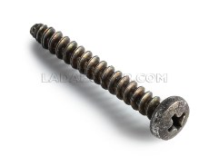 Lada Self-Tapping Screw M4,9*38,1